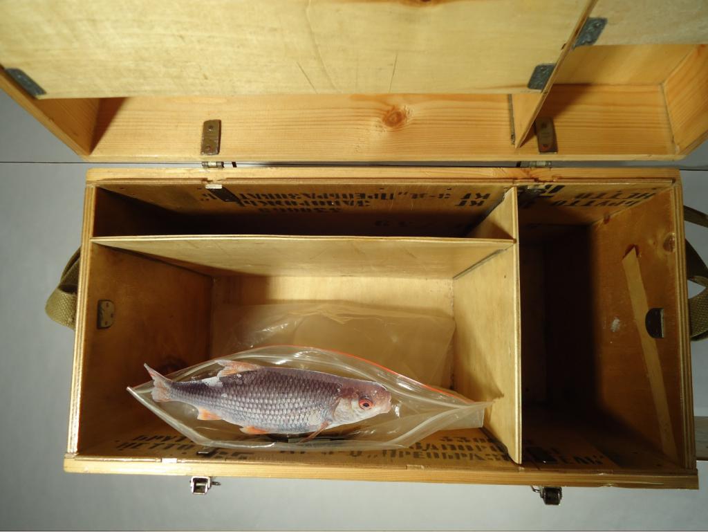 ящик для зимней рыбалки фото