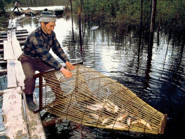 браконьерские способы ловли рыбы