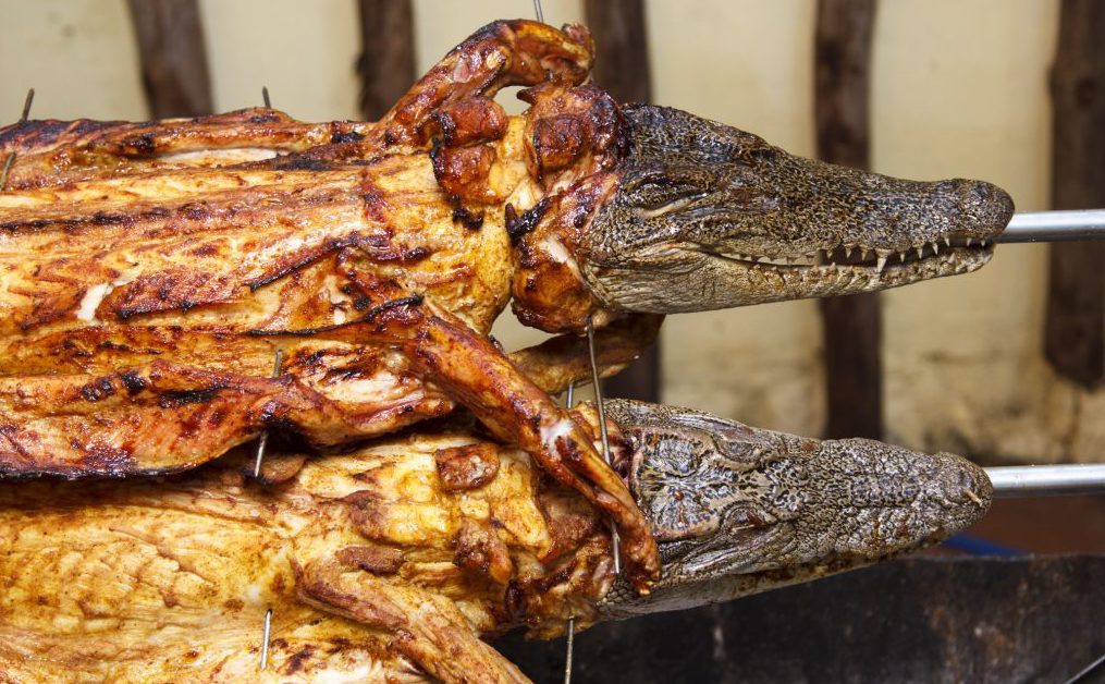 Crocodile fried on a spit.