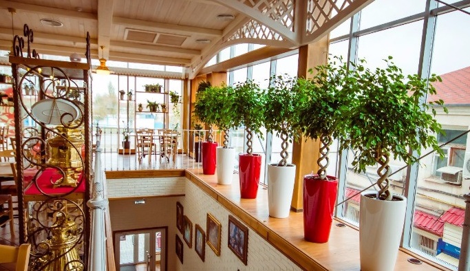 Staircase in a cafe.