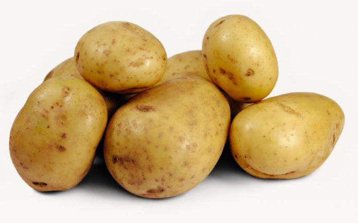 назовите тип плода у картофеля