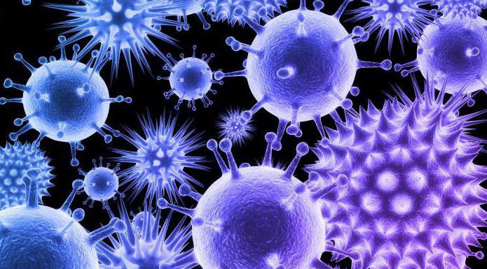 неклеточные формы жизни вирусы