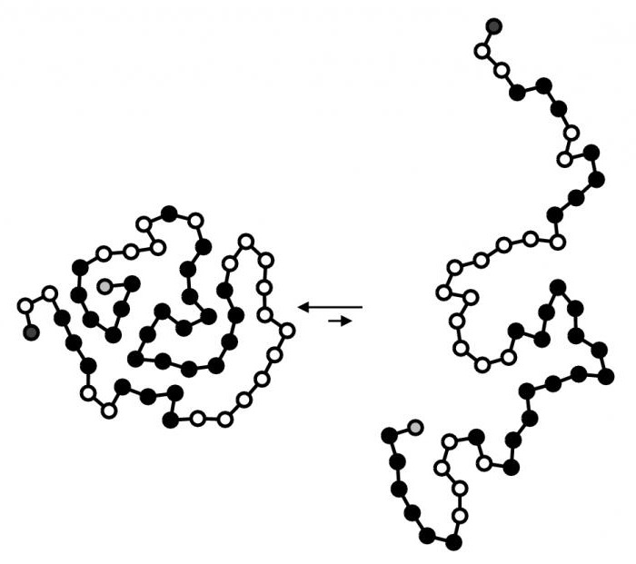 четвертичная структура белка тип связи