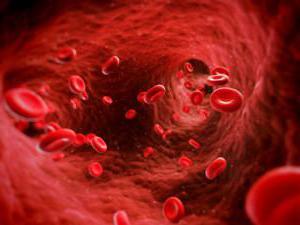 жидкая часть крови называется эритроциты плазма