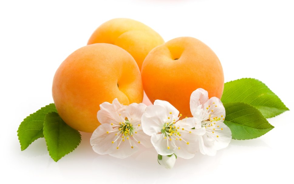 цветки и плоды персика