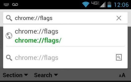 chrome flags enable npapi