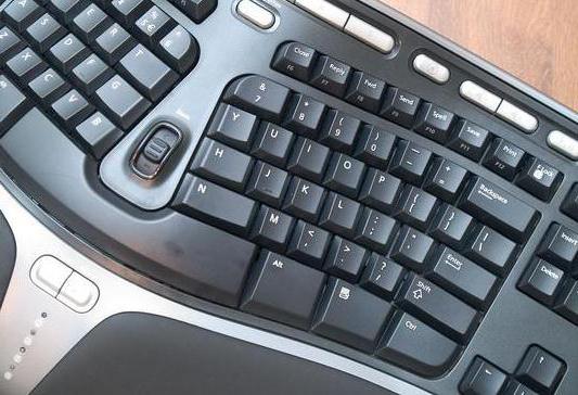 microsoft natural ergonomic keyboard 4000 black usb цены