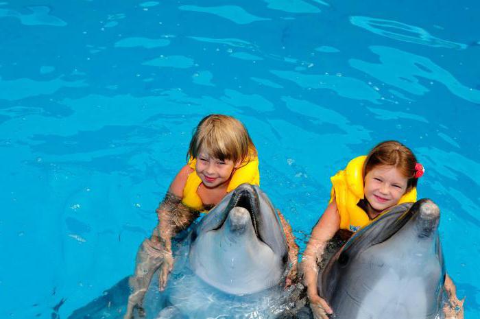 dolphinarium nemo pike perch