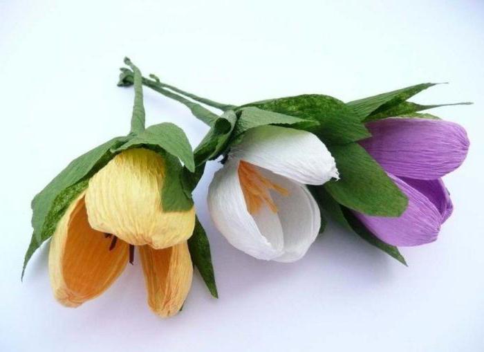 basket with snowdrops