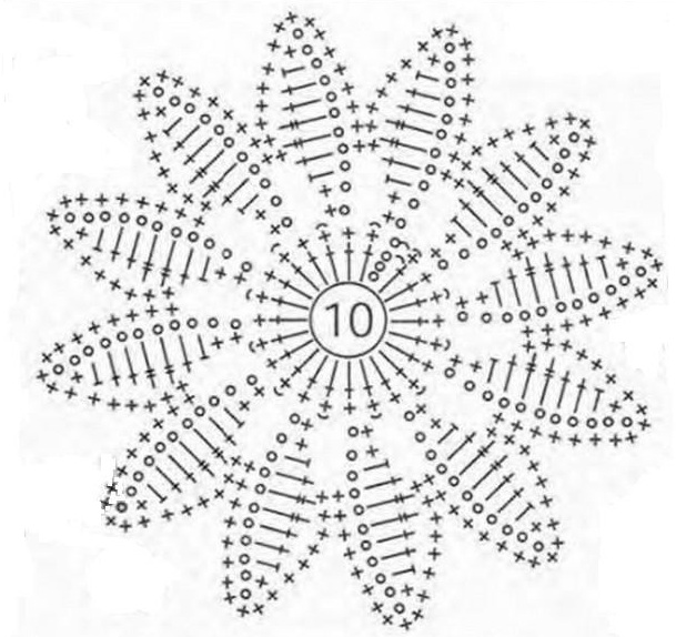 Chamomile - scheme