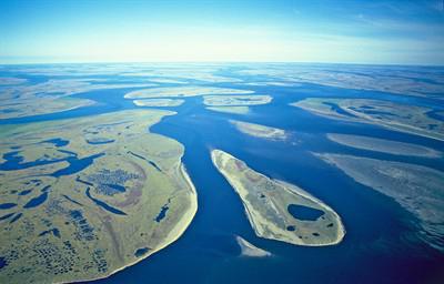 mouth of the Lena River