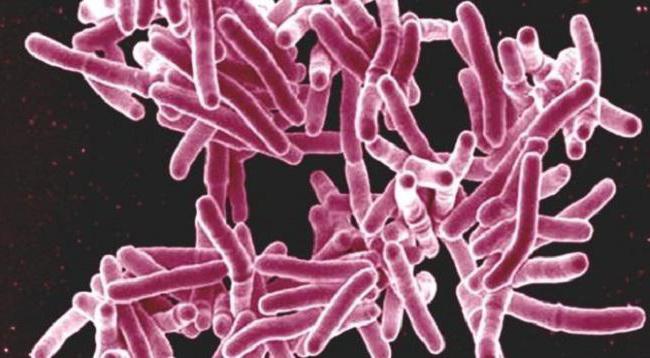 опасен ли окружающим туберкулез кишечника