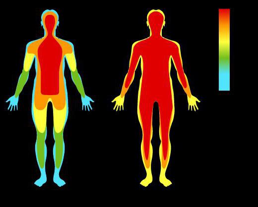 thermoregulation body temperature