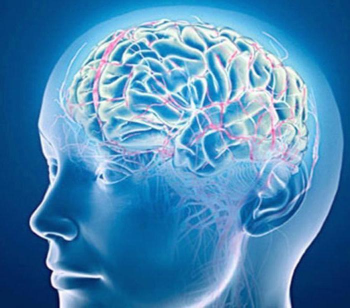 ангиоэнцефалопатия головного мозга лечение