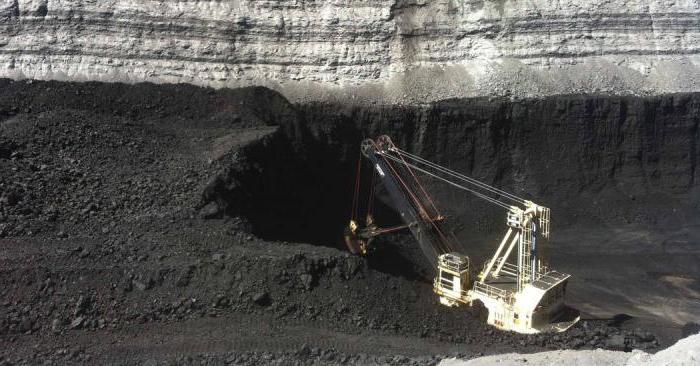 как образуется каменный уголь