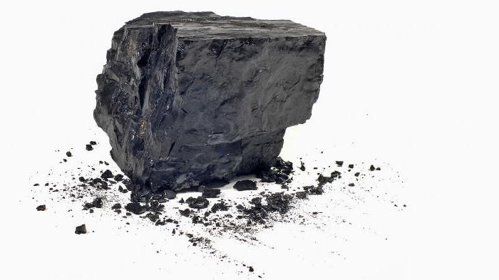 образование каменного угля