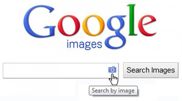 internet photo search program