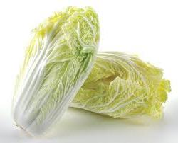 beneficial properties of beijing cabbage