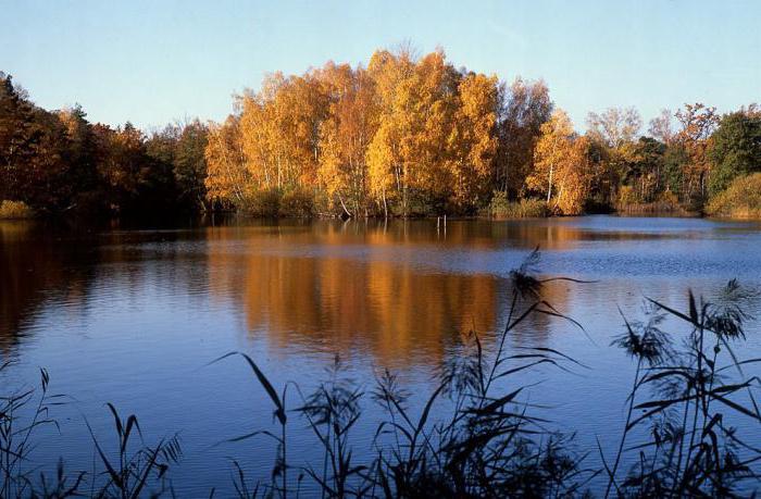 река лух нижегородская область