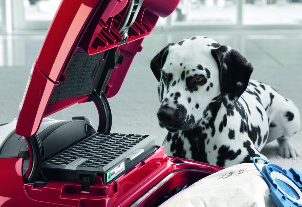 Miele Complete C3 Cat and Dog
