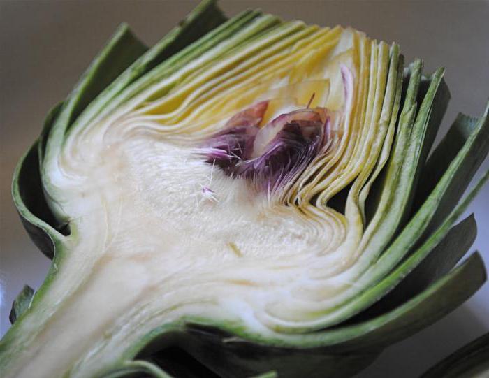 artichokes benefit and harm how to grow