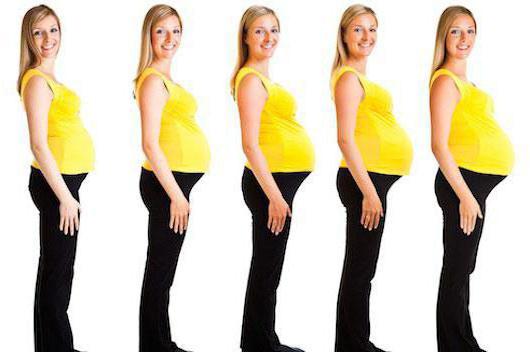 На каком месяце беременности появляется живот при второй беременности thumbnail