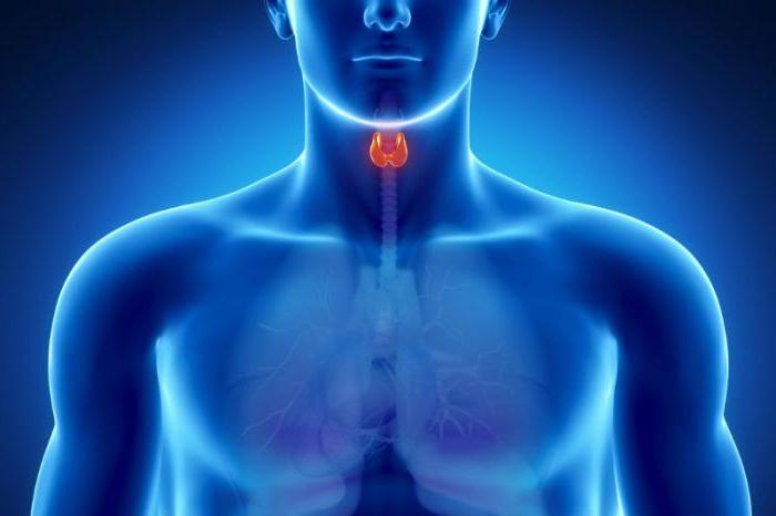 гормон ТТГ щитовидной железы