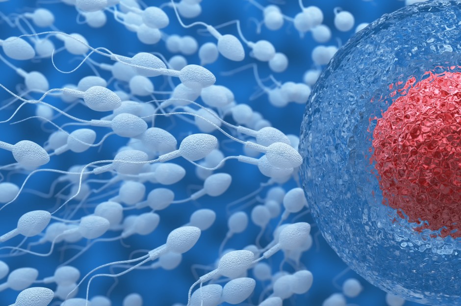 6 фактов о сперме