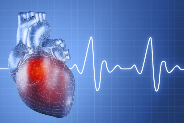 состояние кардиореспираторной системы