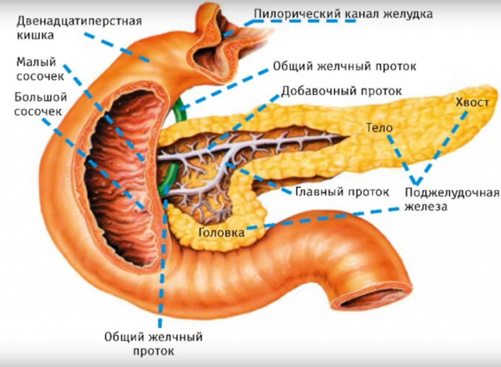 acute pancreatitis clinic help