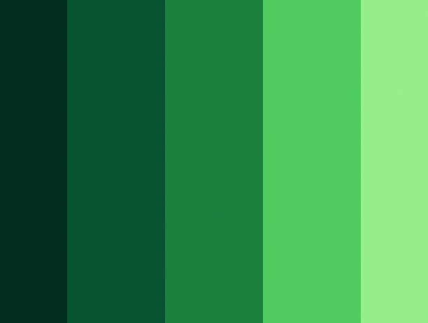 Цвет изумрудный зеленый фото
