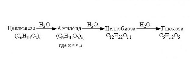 Продуктом гидролиза целлюлозы является. Схема реакции гидролиза клетчатки. Гидролиз целлюлозы реакция. Неполный гидролиз целлюлозы реакция. Гидролиз целлюлозы уравнение реакции.