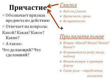 Нарушение в построении предложения с несогласованным приложением не нарушая сказочного колорита