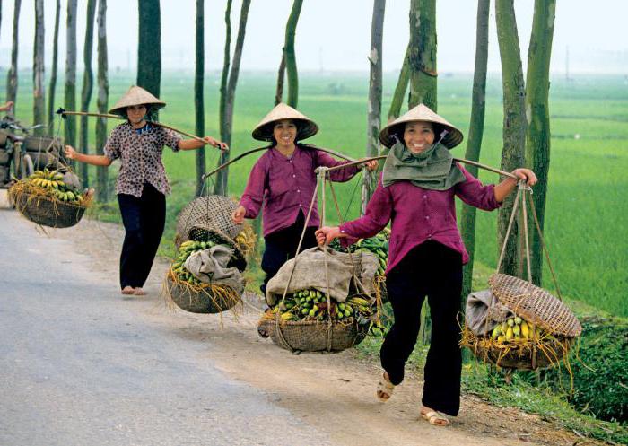 вьетнам ввп на душу населения