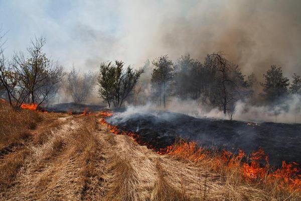 районы пожаров в забайкальском крае