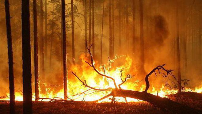 пожары в забайкальском крае