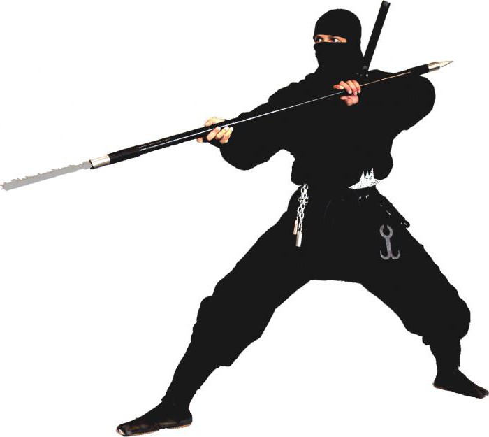 ninja fighting techniques