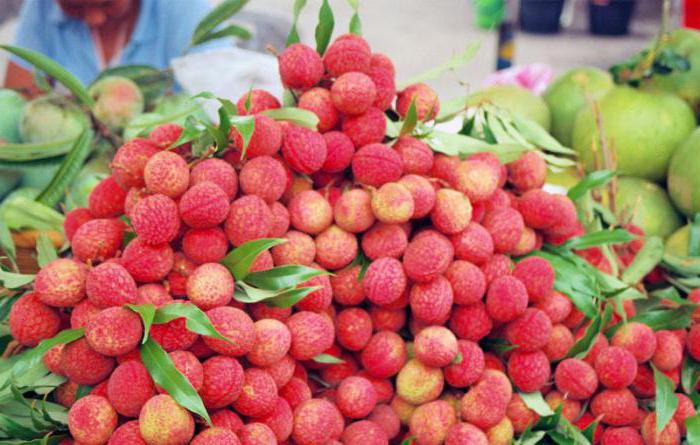 экзотические фрукты из таиланда