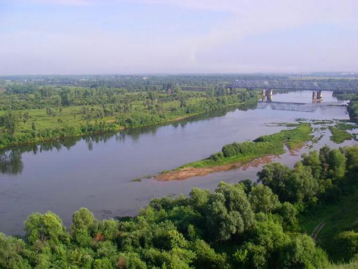 погода в ачинске