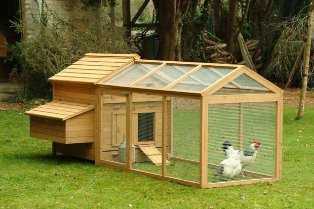 домик для куриц