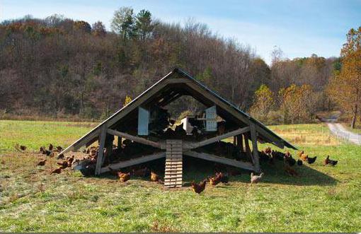 home farm in the village