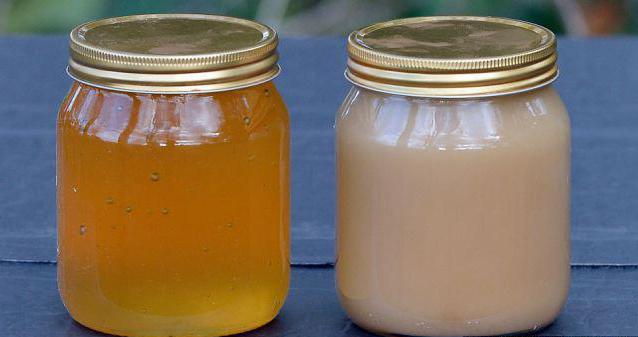 мед аккураевый полезные свойства