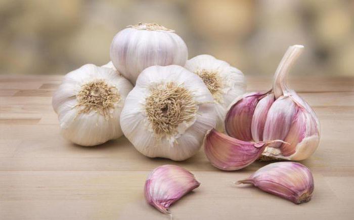 garlic property