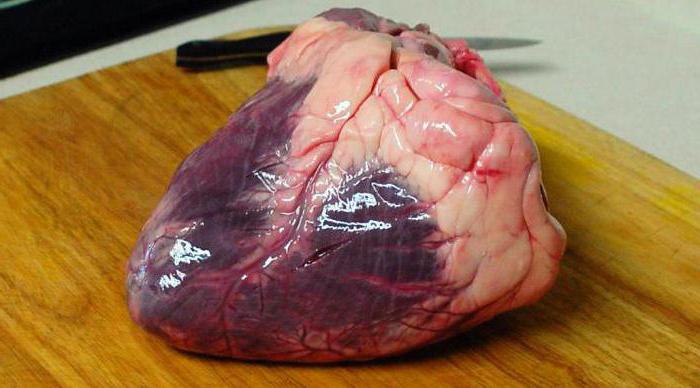 beef heart recipe in a slow cooker