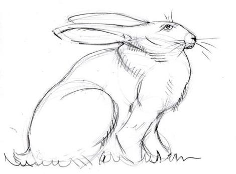 как рисовать зайца карандашом