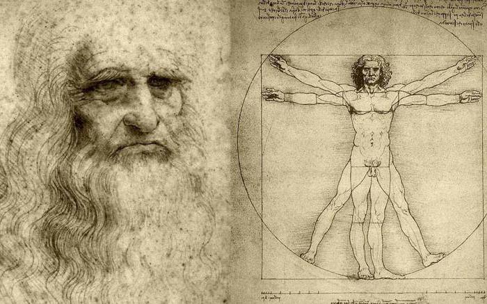 Леонардо да Винчи анатомия