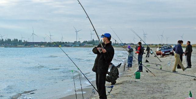 Рыбалка с берега на азовском море