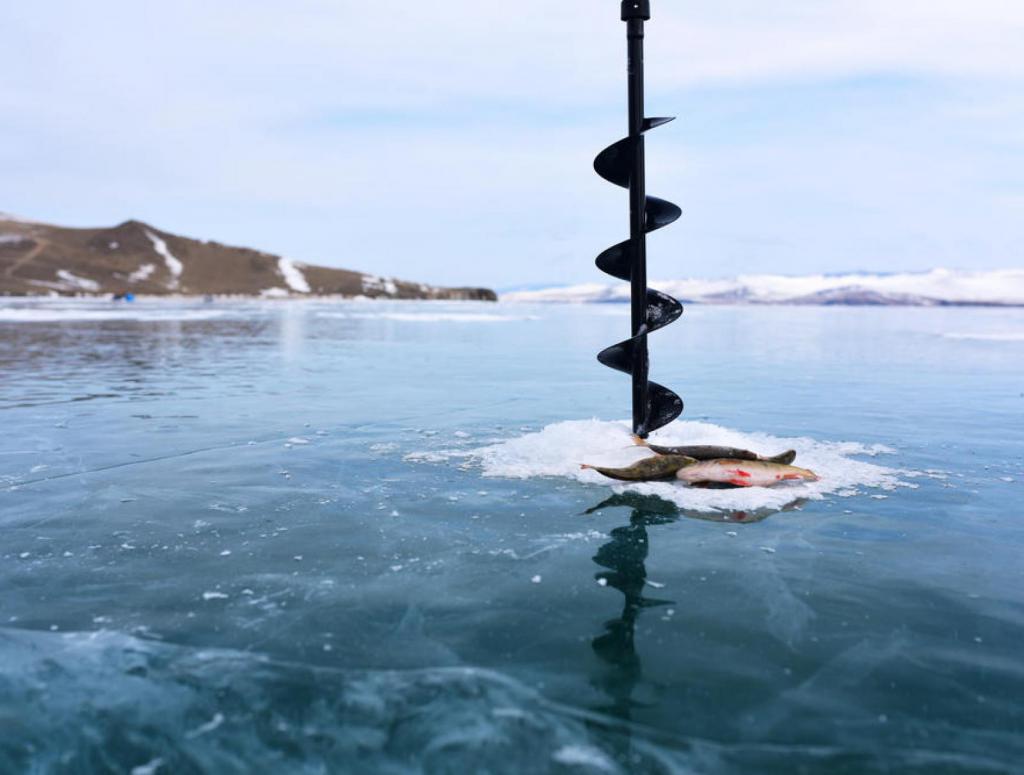 Winter on Baikal for roach