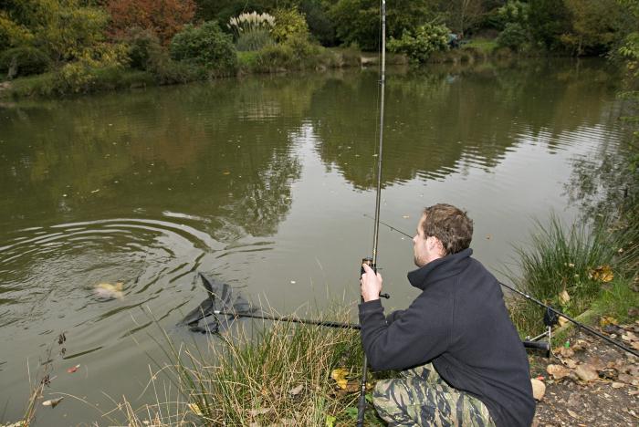 Catching a crucian in October with a fishing rod