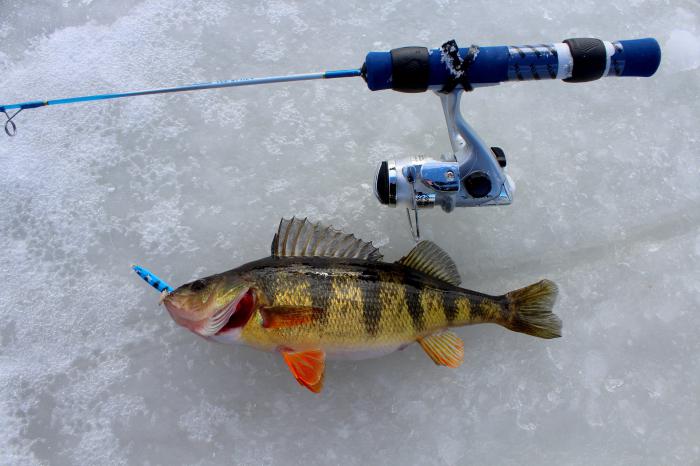 Рыбалка на окуня по льду